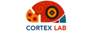 Cortex Lab
