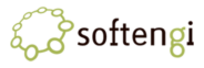 Softengi
